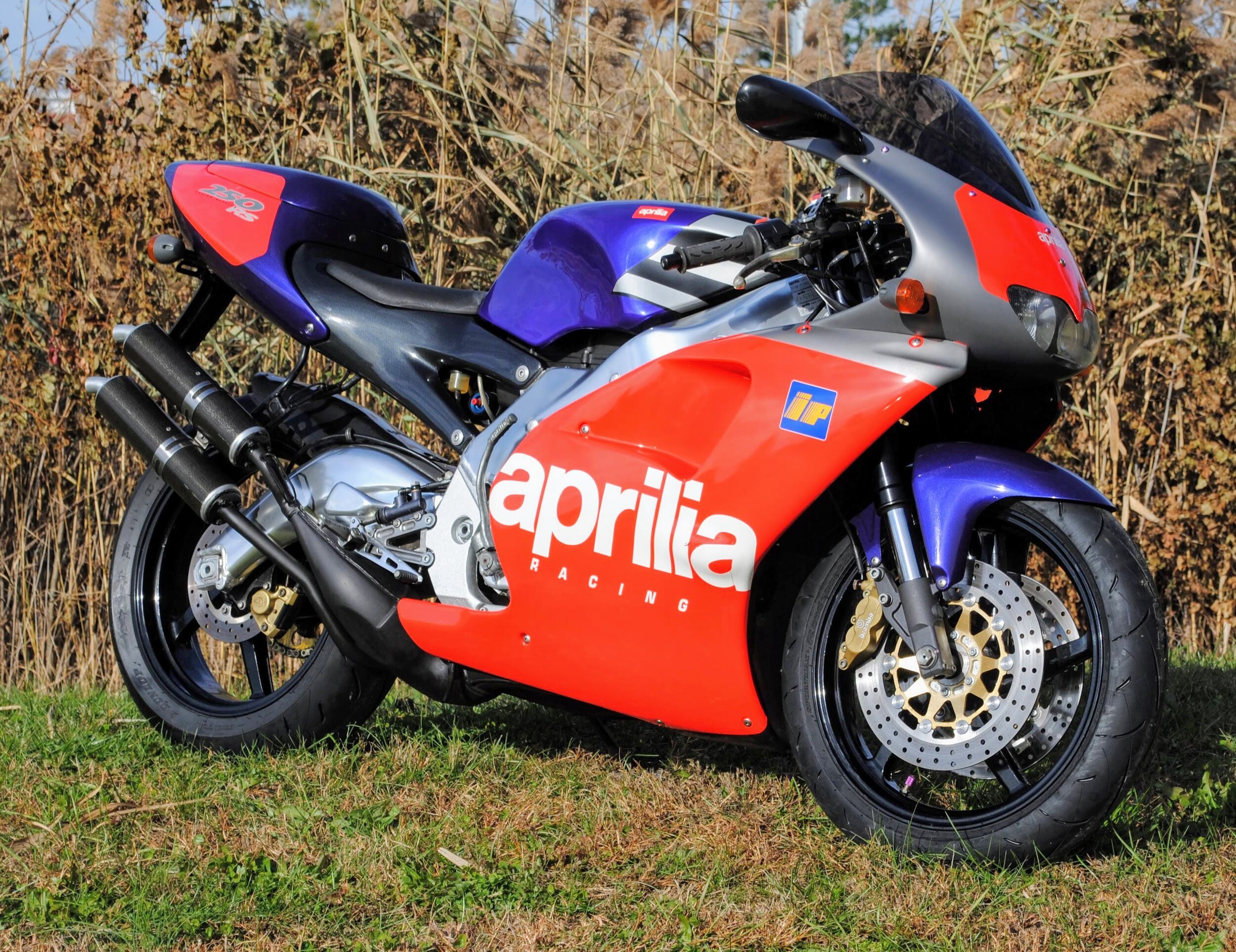 Aprilia RS250